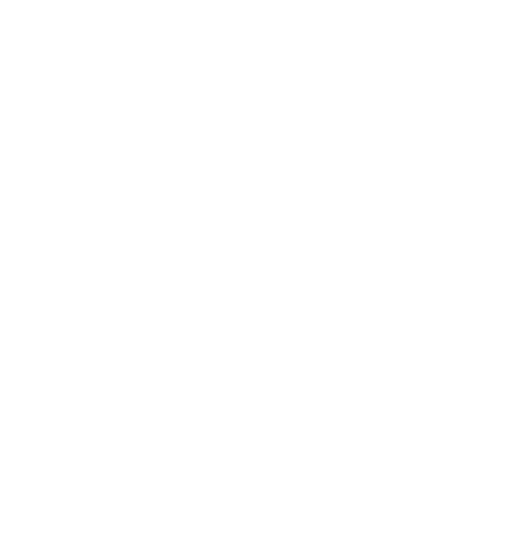 ann hagerty logo